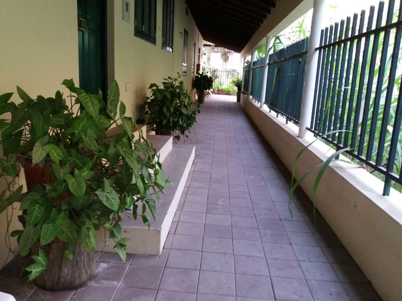Ribeira Grande Country House Cha de Arroz Ngoại thất bức ảnh