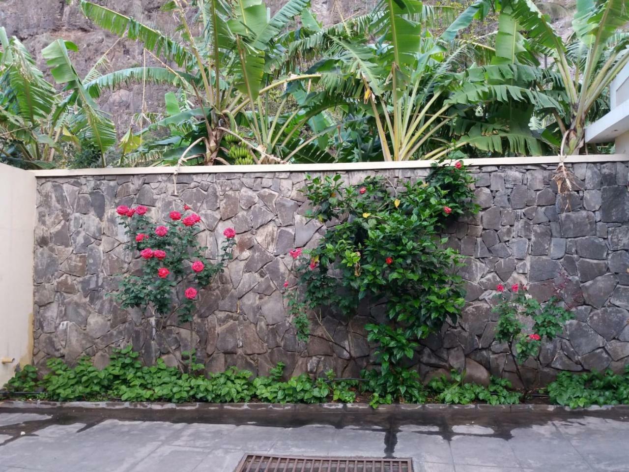 Ribeira Grande Country House Cha de Arroz Ngoại thất bức ảnh