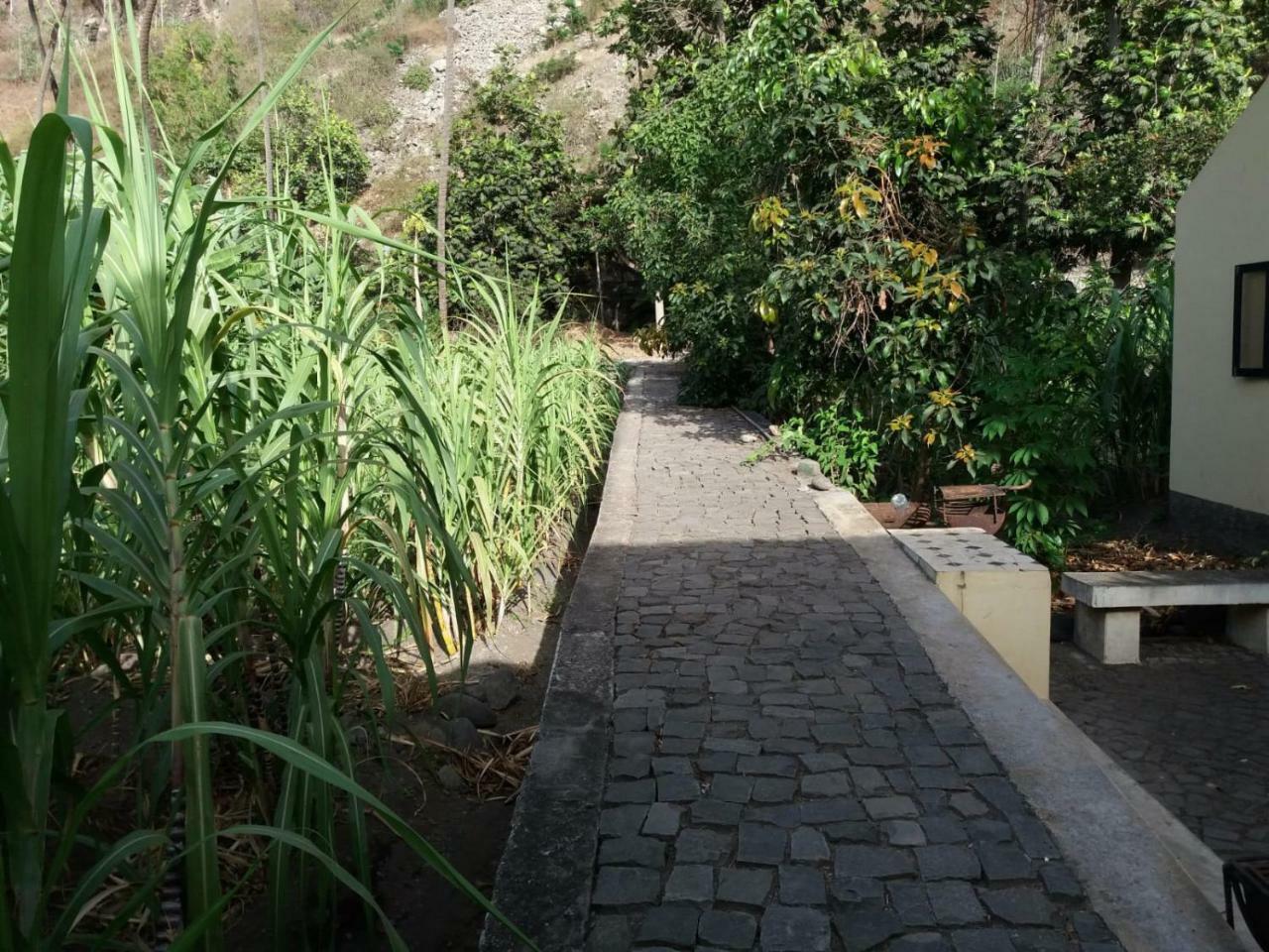 Ribeira Grande Country House Cha de Arroz Ngoại thất bức ảnh