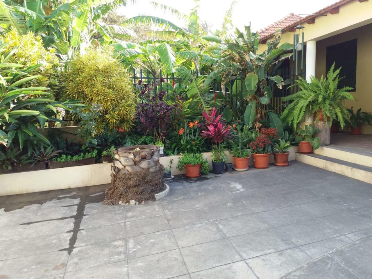 Ribeira Grande Country House Cha de Arroz Ngoại thất bức ảnh