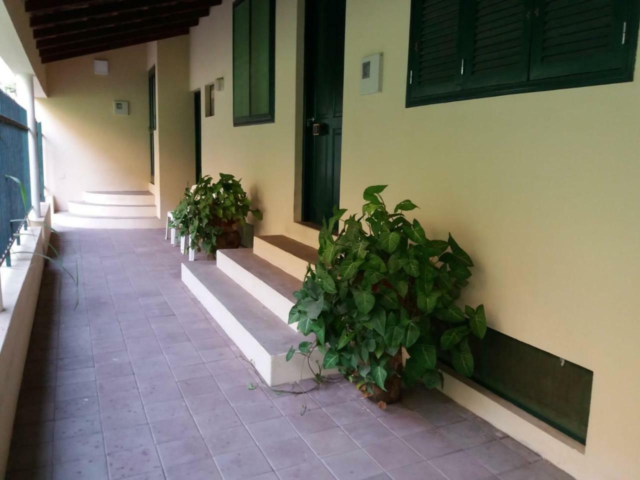 Ribeira Grande Country House Cha de Arroz Ngoại thất bức ảnh