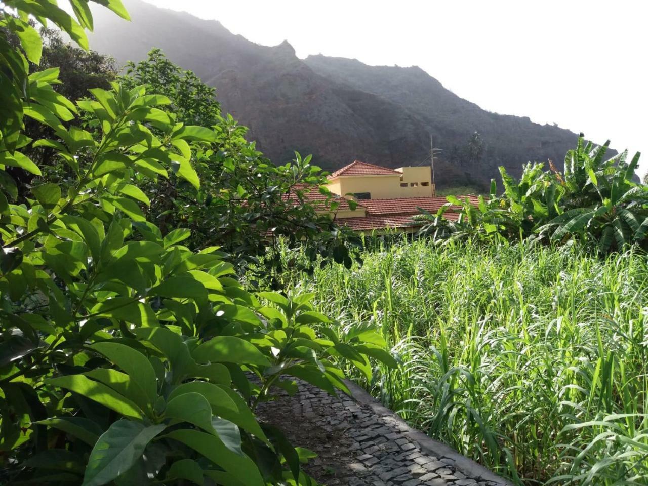 Ribeira Grande Country House Cha de Arroz Ngoại thất bức ảnh