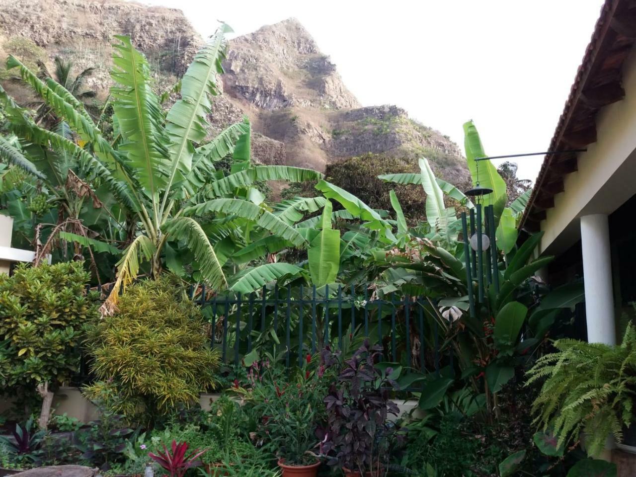 Ribeira Grande Country House Cha de Arroz Ngoại thất bức ảnh